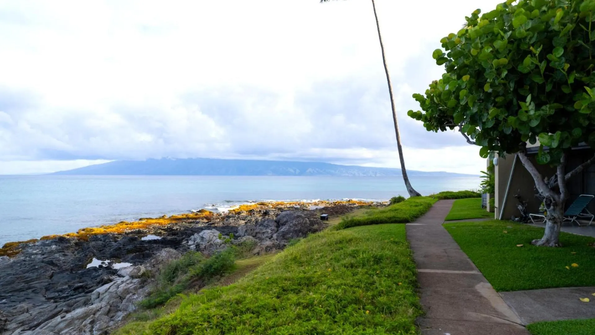 Kbm Resorts Free Car Napili Point Oceanfront Stunning 1-Bedroom Villa Turtle Views Nap-A25