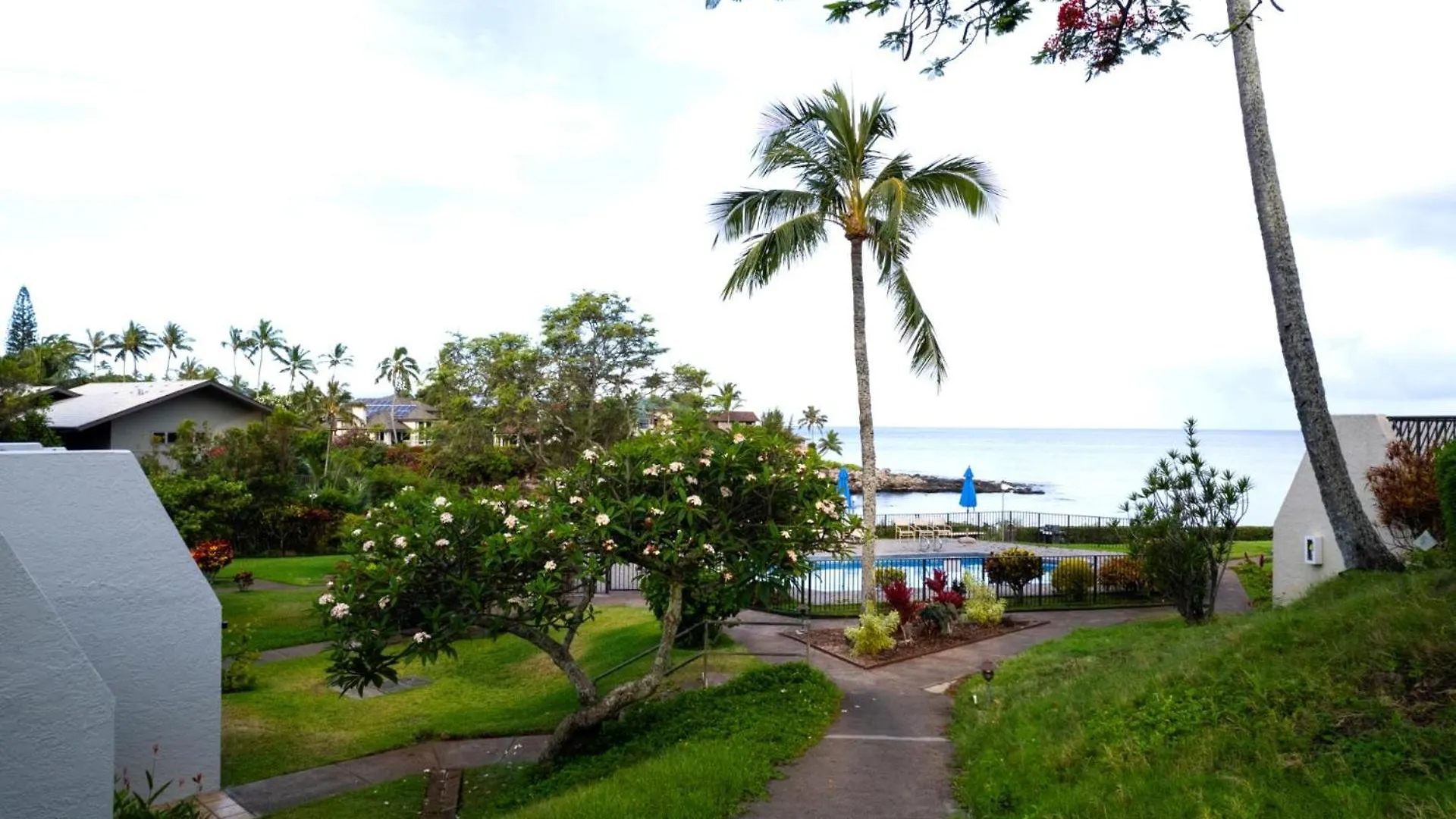 Kbm Resorts Free Car Napili Point Nap-A25 Stunning Ocean Front Villa Turtle Views Kapalua Apartment