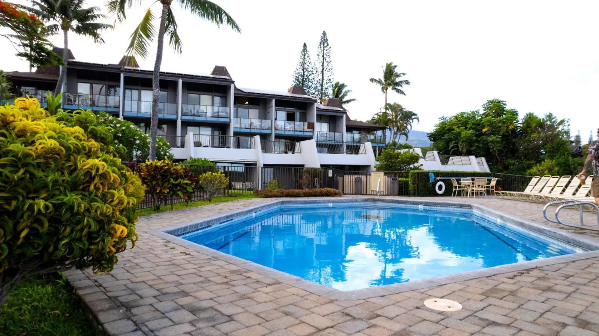 Apartment Kbm Resorts Free Car Napili Point Nap-A25 Stunning Ocean Front Villa Turtle Views Kapalua