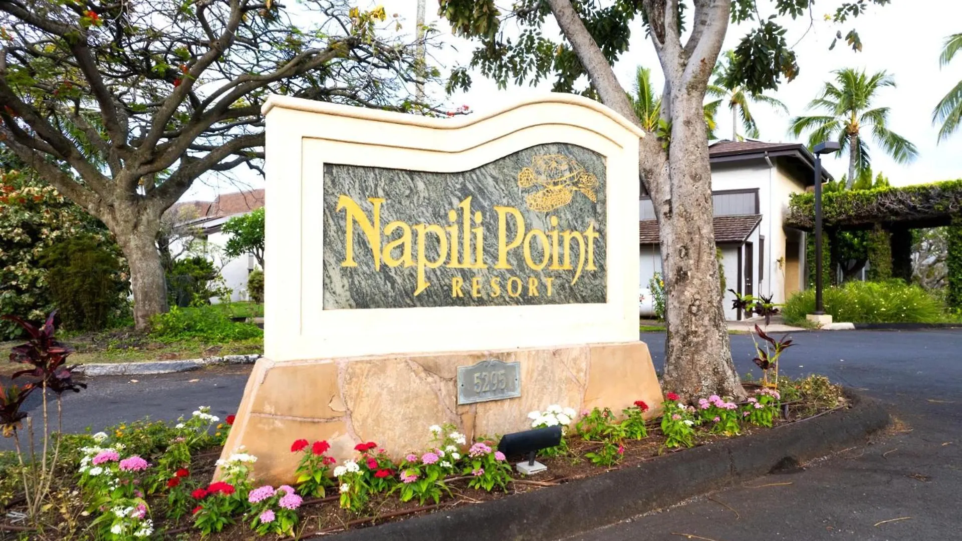 Apartment Kbm Resorts Free Car Napili Point Nap-A25 Stunning Ocean Front Villa Turtle Views Kapalua