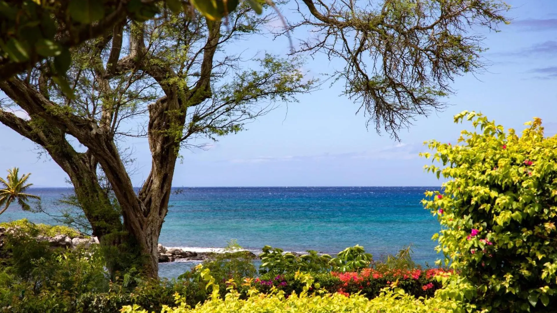 Kbm Resorts Free Car Napili Point Nap-A25 Stunning Ocean Front Villa Turtle Views Kapalua